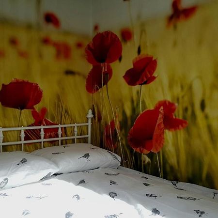 Vila Vinkenhof 6-8 Personen Baarle-Nassau Exteriér fotografie